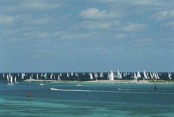 Sailboats in a Blue Seascape Wall Art