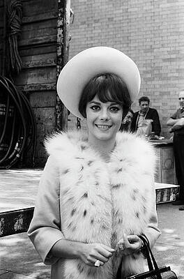 Wall Art featuring the photograph Natalie Wood by Art Zelin