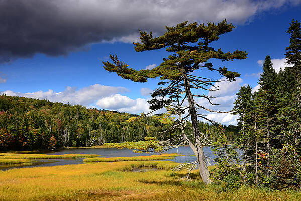 Near Louisbourg, Atlantic Coast, Nova Scotia, Canada Print