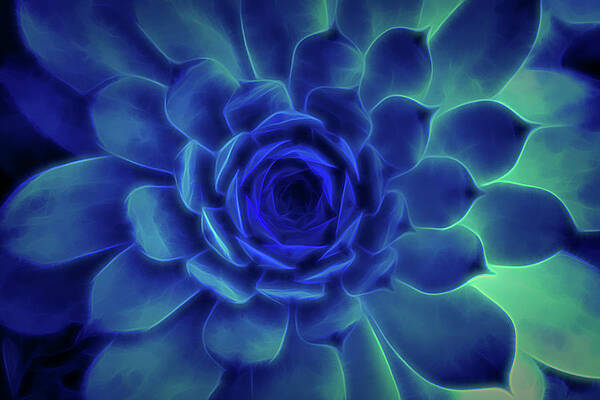 Isolate Wall Art featuring the digital art Neon Blue Sempervivum by Scott Lyons