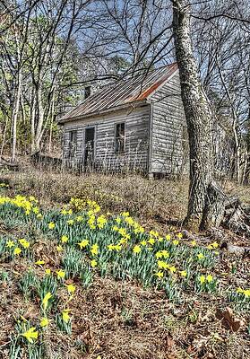 Photograph - New Among The Old by Randall Dill