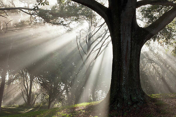 Landscape Photograph - Nuovo Inizio by Joe Leone