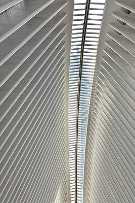 Wall Art featuring the digital art New York City, Lower Manhattan, Inside Oculus At Westfield World Trade Center, Architectural Ribs by Lumiere