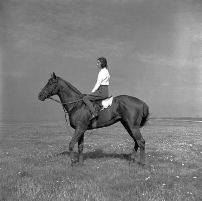 Equestrian in Vast Landscape Wall Art