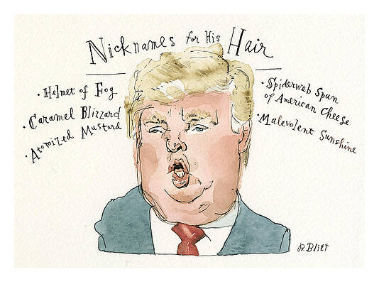 Sunshine Wall Art featuring the painting Nicknames For His Hair by Barry Blitt