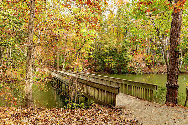 Reflection Wall Art featuring the photograph Noland Trail Bridge by Donna Twiford