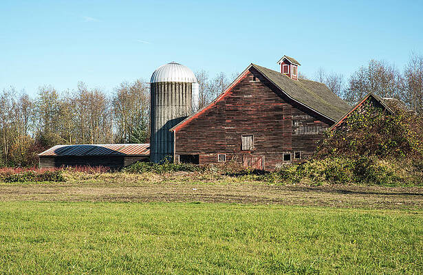 Farm Photograph - Nooksack Farm Roof Shapes by Tom Cochran
