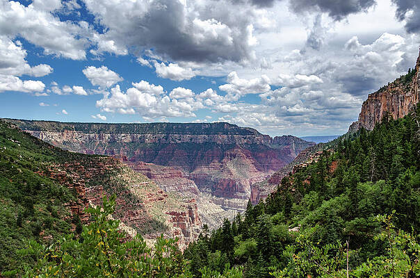 Colorado Photograph - North Rim Monsoon Clouds And Colors by Douglas Wielfaert