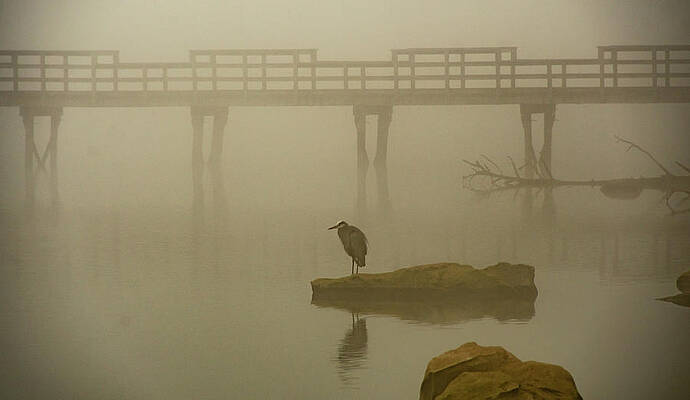 Serene Photograph - November  #1 by Marcy Wielfaert
