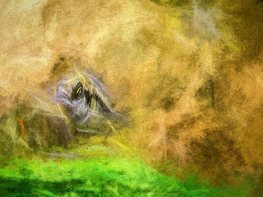 Wildlife Digital Art - Nyererei Haplochromis by Don Northup