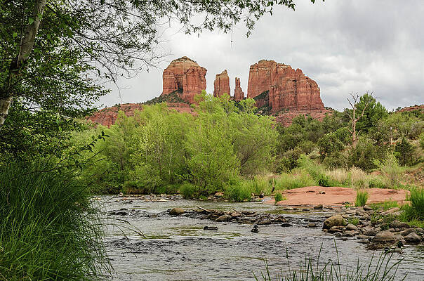 Arizona Photograph - Oak Creek And Cathedral Rock View by Douglas Wielfaert