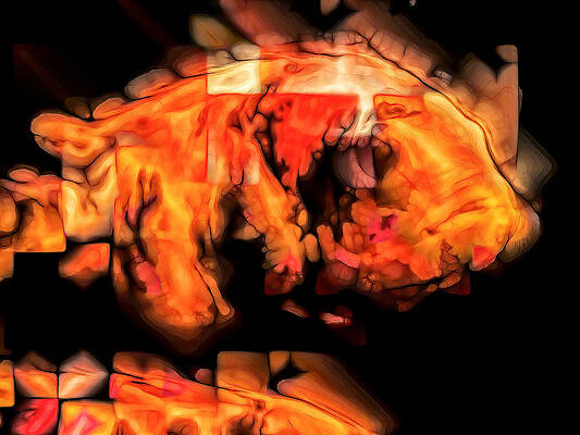 Wildlife Digital Art - OB Mbuna Cichlid Abstract by Don Northup