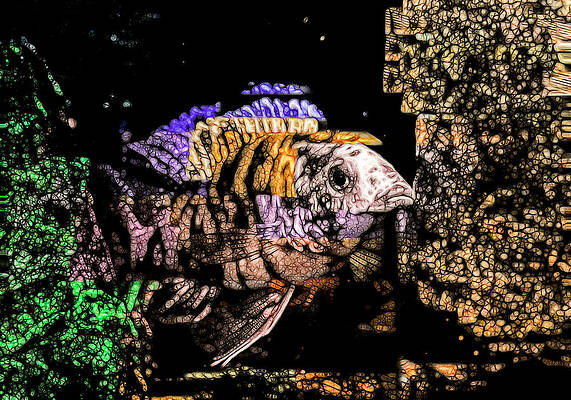 Wildlife Digital Art - OB Peacock Cichlid Super Abstract by Don Northup