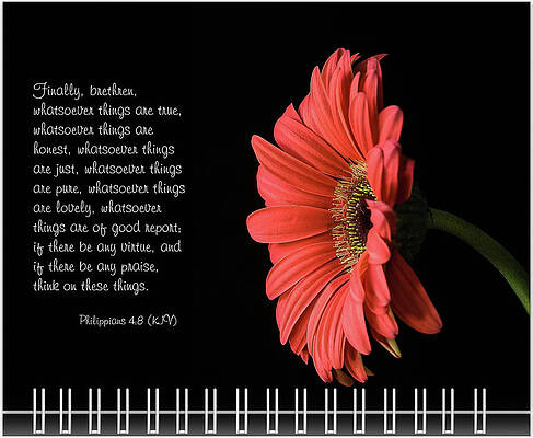 Inspirational Photograph - October Inspirational 2019 Calendar Preview by Joni Eskridge