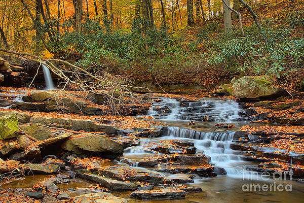 Wilderness Wall Art featuring the photograph Ohiopyle Jonathan Run Falls Autumn by Adam Jewell