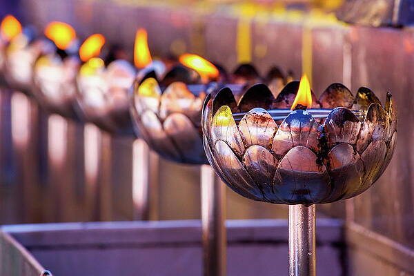 Lamp Wall Art featuring the digital art Oil Lamps by Lucie Debelkova
