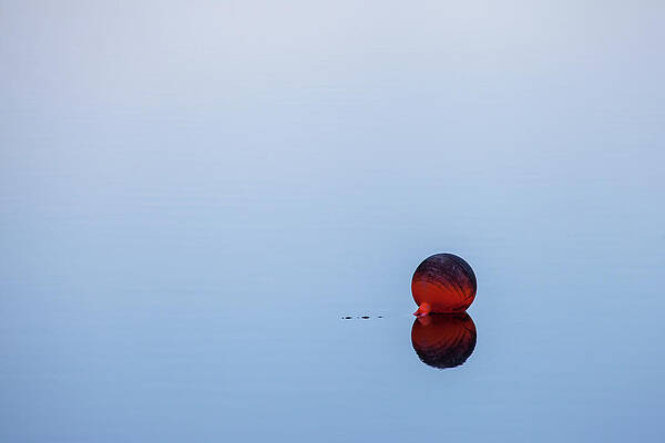 Wall Art featuring the photograph On The Lake by Barbara Friedman