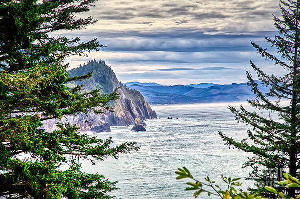 Oregon Photograph - Oregon Coast From Cape Falcon by Bruce Block