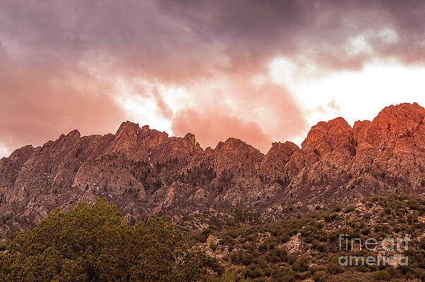 Wall Art featuring the photograph Organ Mountains Las Cruces by Blake Webster