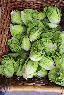 Organic Little Gem Lettuces In A Woven Basket At A Market Print