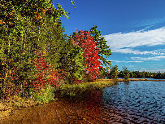 Sky Wall Art featuring the photograph Oswego Lake Pinelands by Louis Dallara