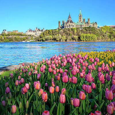 Building Wall Art featuring the digital art Ottawa, Parliament Hill by Pietro Canali