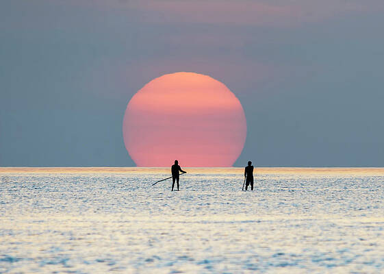 Sunrise Photograph - Sunrise Paddle Boarding by Steven Sparks