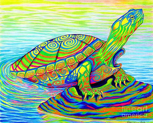 Colorful Turtle on a Rock Wall Art