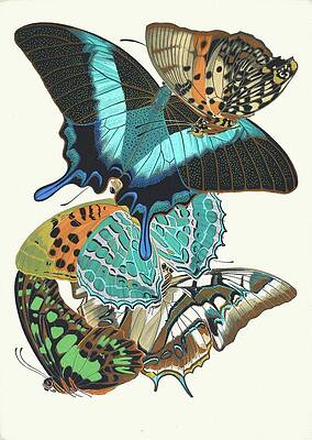 Insects Painting - Papillons, Pl. 13 by Emile-allain Seguy