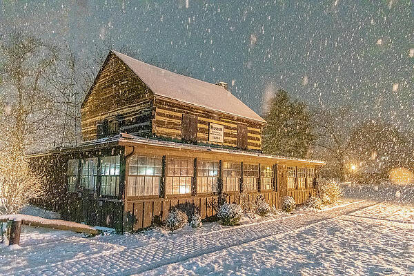 Tree Wall Art featuring the photograph Parkersburg City Park Museum by Jonny D