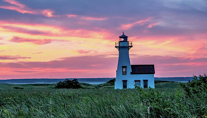 Serene Photograph - Pastel Morning by Marcy Wielfaert
