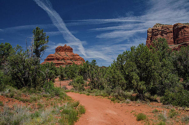 Arizona Photograph - Pathway To Courthouse Butte by Douglas Wielfaert