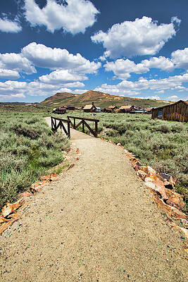 Historical Wall Art featuring the photograph Pathway To The Past by American Landscapes