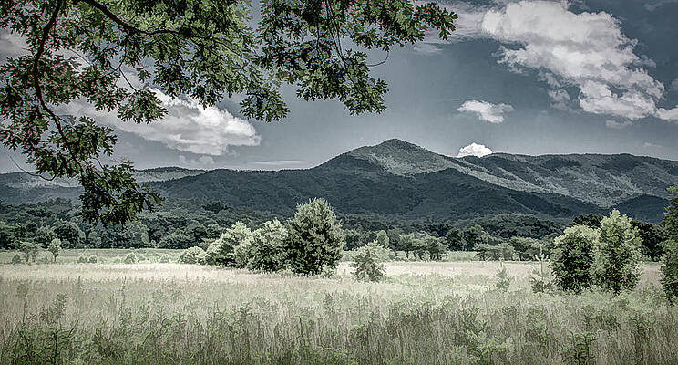Wall Art featuring the photograph Peace In The Cove, Stylized Monochromatic by Marcy Wielfaert