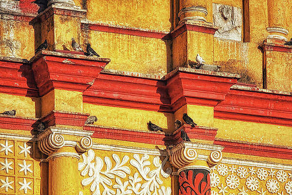 Mexico Wall Art featuring the photograph Peace On Earth by Tatiana Travelways