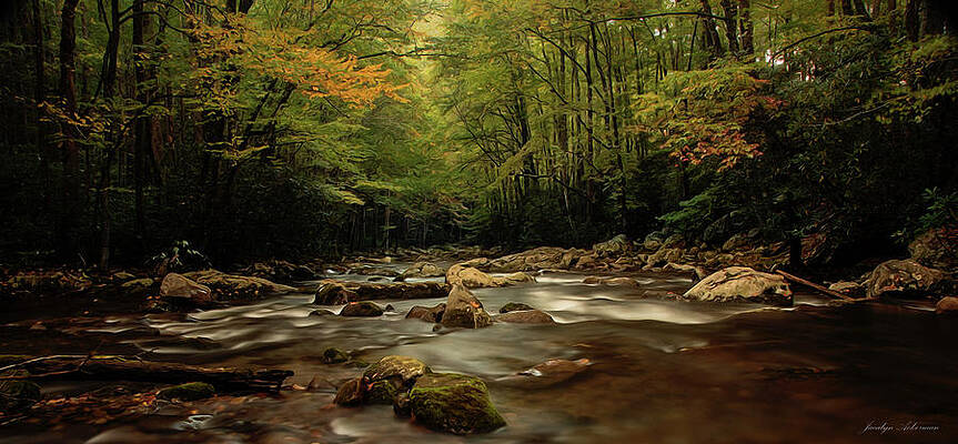 Wall Art featuring the photograph Peacefulness by Jacalyn Ackerman