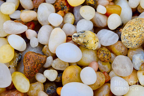 Wall Art featuring the photograph Pearly White Pebbles by Debra Banks
