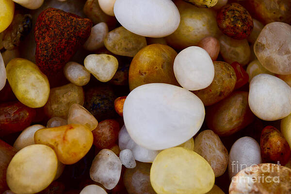 Wall Art featuring the photograph Pebbles On The Seashore by Debra Banks