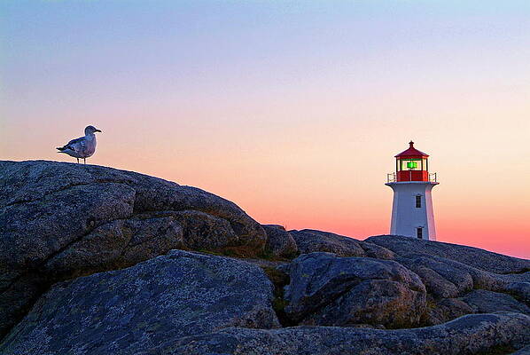 Lighthouse Wall Art featuring the digital art Peggy's Cove Lighthouse, Canada by Hans-peter Merten