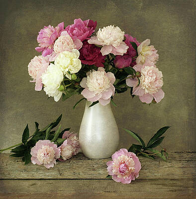 Flowers Photos for Sale