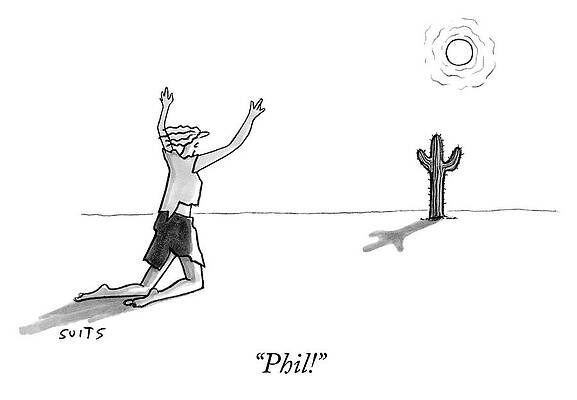 Man Mistakes Cactus for Companion Drawing