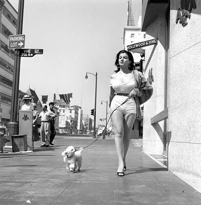 Woman Walking Dog in Hollywood Wall Art