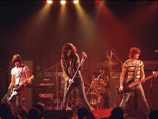 Iconic Punk Band Live Performance Wall Art