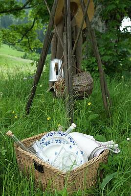 Picnic Utensils In A Basket Print