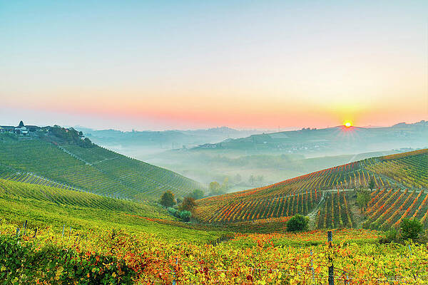 Sunset Digital Art - Piedmont, Barbaresco, Italy by Marco Arduino