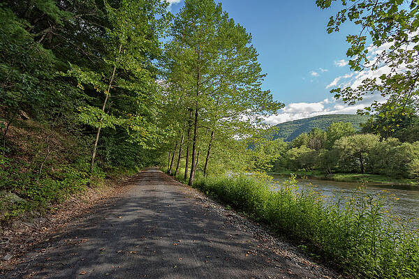 PIne Creek Rail Trail by Chris Spencer