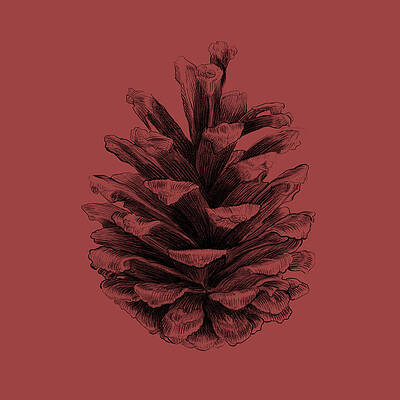 Intricate Pine Cone Study Wall Art