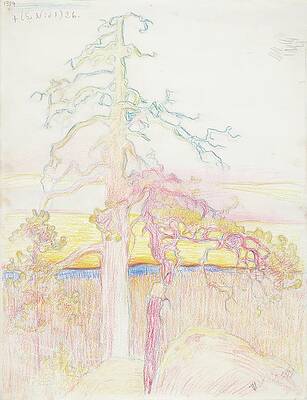 Eero Jarnefelt Painting - Pine Tree In Wilderness by Eero Jarnefelt