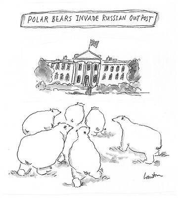 Polar Bear Drawing - Polar Bear Invasion by Mary Lawton