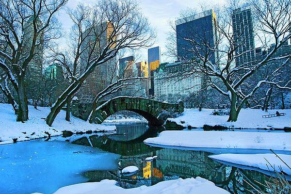 North America Wall Art featuring the digital art Pond & Bridge, Central Park, Nyc by Claudia Uripos